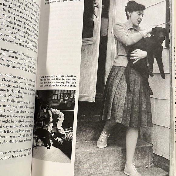 Family Dog by Richard A. Wolters HC/DJ 1975 Book - Picture 8 of 16